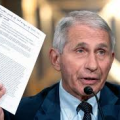 dr anthony fauci