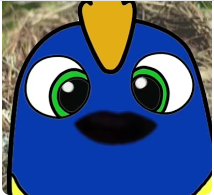 weird tiktok filter bird guy