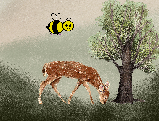 woods