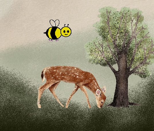 woods